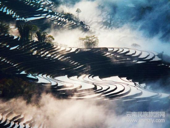 哈尼梯田最佳拍攝地推薦