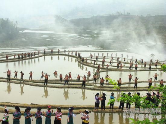 哈尼梯田最佳拍攝地推薦