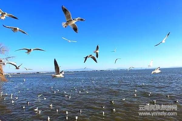 云南六大最新最具特色的旅游攻略！