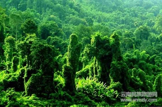 云南六大最新最具特色的旅游攻略！