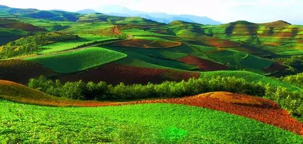 云南六大最新最具特色的旅游攻略！