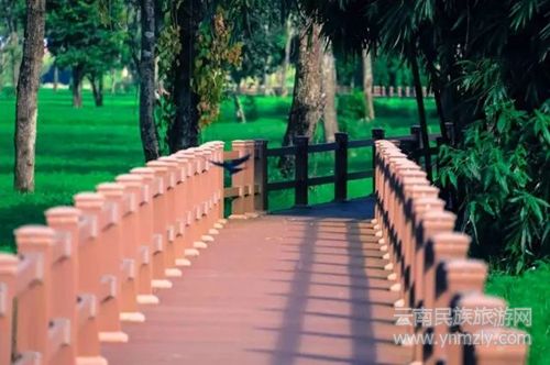 盈江游玩最強攻略 你得這樣玩