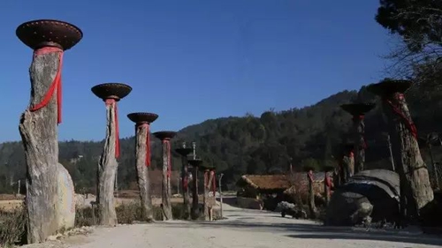 盈江游玩最強攻略 你得這樣玩