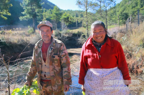 5年了，這對(duì)夫妻在文筆山深處為夢(mèng)想打拼