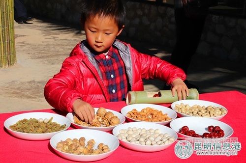 云南野生動物園引進世界上最漂亮的猴子山魈 邀游客為其取名