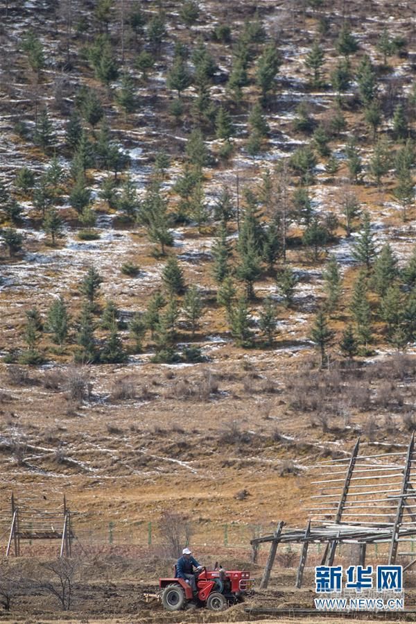 （社會(huì)）（2）雪域高原農(nóng)事忙